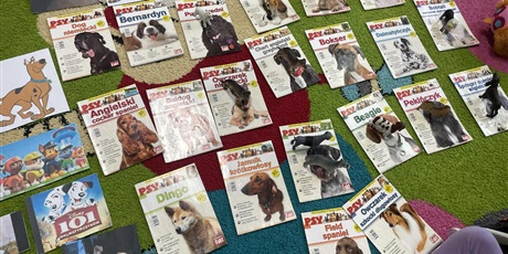 Powiększ grafikę: dzien-kundelka-655458.jpg