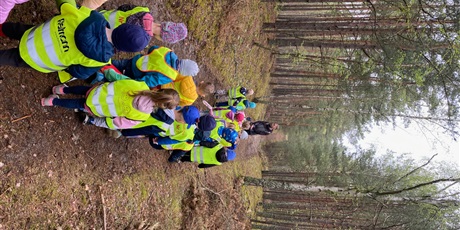 Powiększ grafikę: lesna-przygoda-z-dendrologiem-pszczolki-w-terenie-613623.jpg