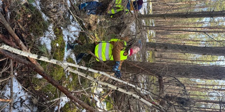 Powiększ grafikę: przedszkolny-dzien-dzikiej-przyrody-679736.jpg