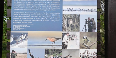 Powiększ grafikę: u-ornitologow-624804.jpg